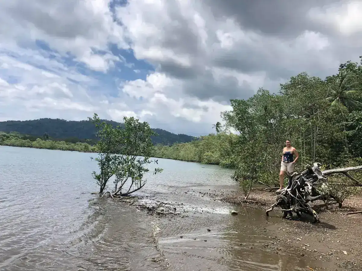 Manglares en la orilla del Golfo Dulce
