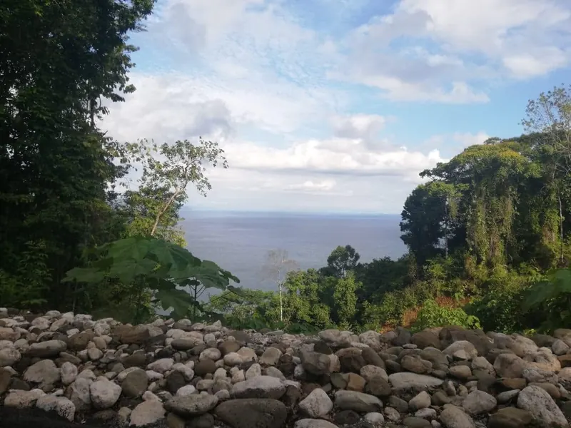 The Golfo Dulce seen through the rainforest