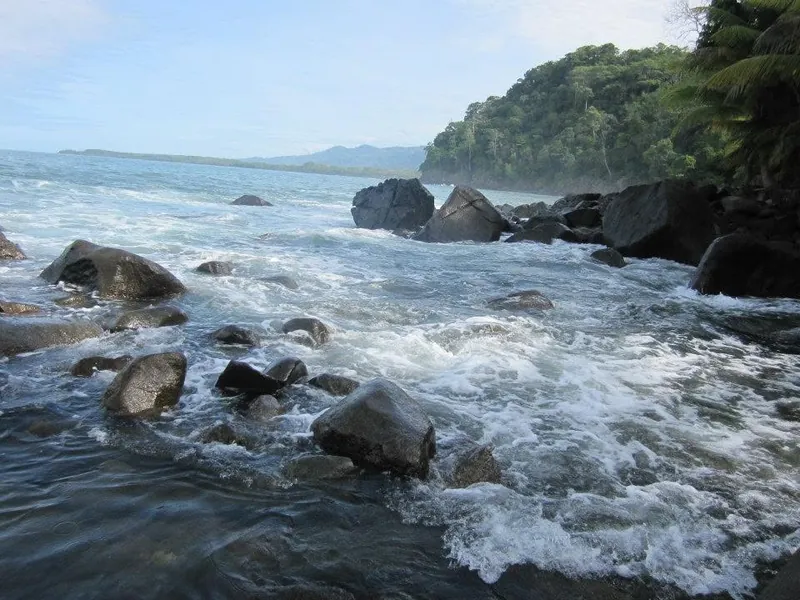 Olas reventando sobre las rocas en el Pacífico sur
