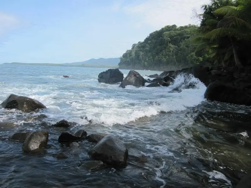Waves breaking on rocks below a forested headland
