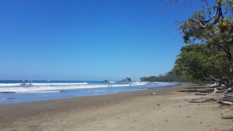 Playa Dominicalito: a wide sandy beach with gentle waves, a rocky islet and forest to the shore