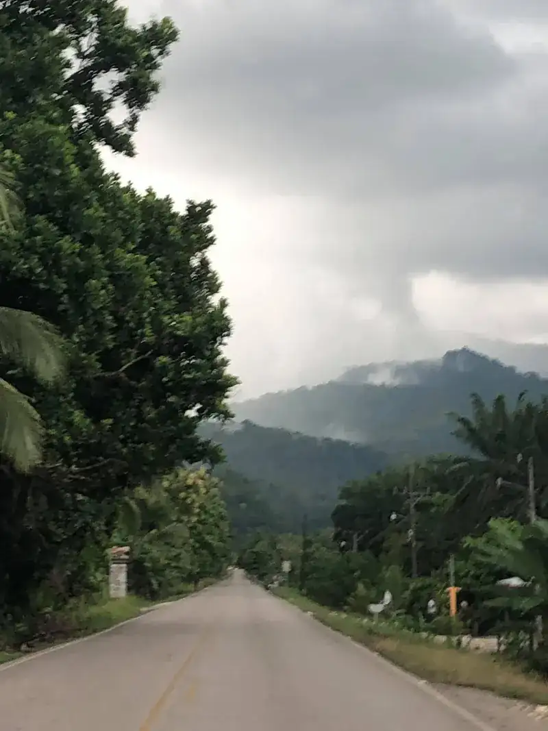 La ruta 245 asfaltada hacia Puerto Jiménez